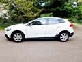 Volvo V40 Cross Country V40 Cross Country D2 Kinetic Kinetic Weiß - thumbnail 5