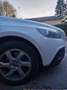 Volvo V40 Cross Country V40 Cross Country D2 Kinetic Kinetic Weiß - thumbnail 37