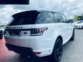Land Rover Range Rover Sport 4.4L  141220 KMS Blanc - thumbnail 8