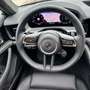 Porsche Panamera Turbo E-Hybrid PHEV Executive Aut. *Panorama*He... Grün - thumbnail 17