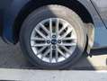 Kia Rio Berlina 101cv Manual de 5 Puertas Blanco - thumbnail 7