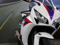 Honda CBR 1000 RR - FIREBLADE  - KM 20740 Bianco - thumbnail 10