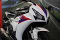 Honda CBR 1000 RR - FIREBLADE  - KM 20740 Bianco - thumbnail 12