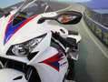 Honda CBR 1000 RR - FIREBLADE  - KM 20740 Bianco - thumbnail 11