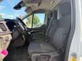Ford Transit Custom 320 L2 Kühlwagen PDC Tempomat Weiß - thumbnail 9