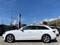 Audi A4 Avant 30 2.0 tdi mhev Business Adv. 136cv s-tronic Wit - thumbnail 4
