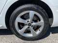 Audi A4 Avant 30 2.0 tdi mhev Business Adv. 136cv s-tronic Wit - thumbnail 12