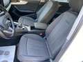 Audi A4 Avant 30 2.0 tdi mhev Business Adv. 136cv s-tronic Wit - thumbnail 26