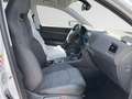 CUPRA Ateca 2.0TSI DSG 4 Drive Top-View Beats Winter-Paket Weiß - thumbnail 7