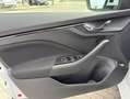 Skoda Kamiq Selection 1.5l TSI DSG NAVI SHZ RFK LED PA Weiß - thumbnail 10