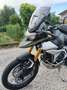 Triumph Tiger 900 Rally Pro Vert - thumbnail 2