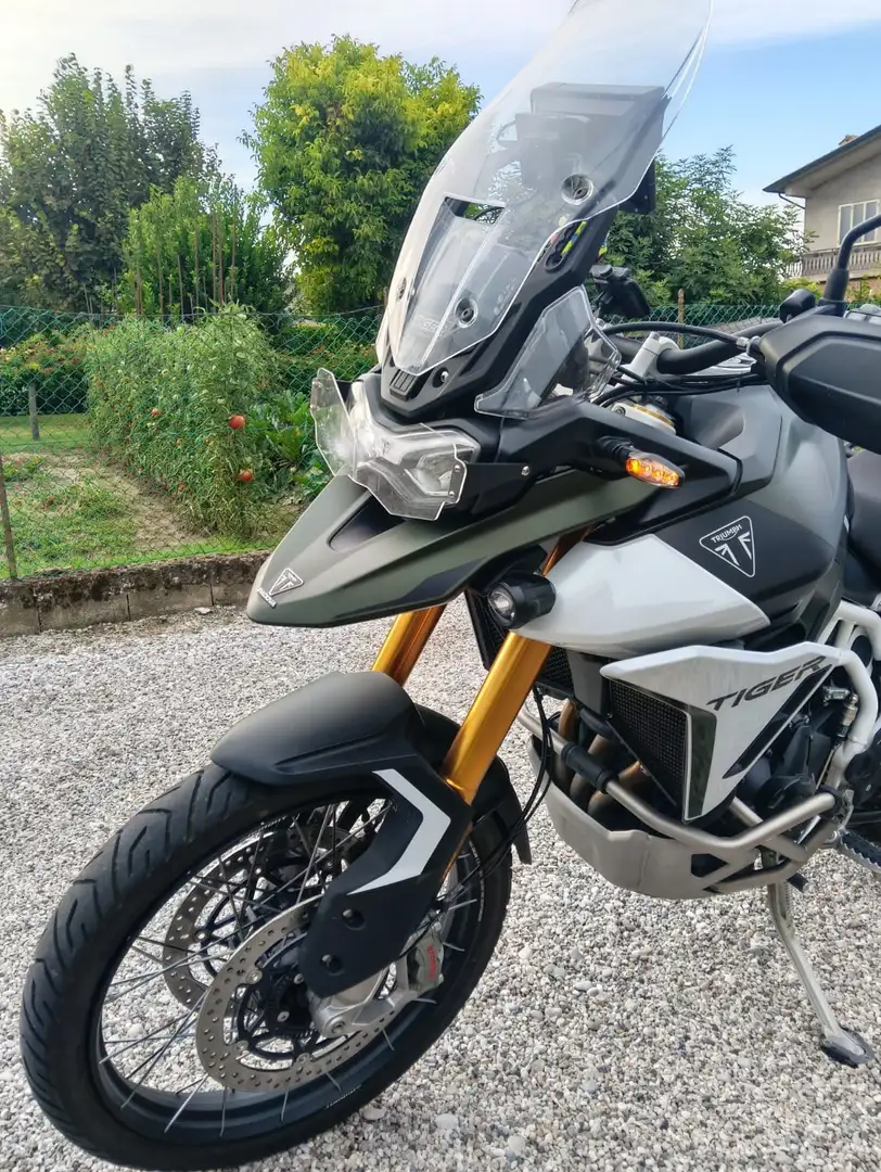 Triumph Tiger 900 Rally Pro Vert - 2