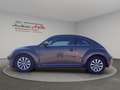 Volkswagen Beetle Lim.Design*SZH*Schiebedach* - thumbnail 3