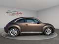 Volkswagen Beetle Lim.Design*SZH*Schiebedach* - thumbnail 8