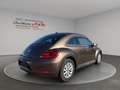 Volkswagen Beetle Lim.Design*SZH*Schiebedach* - thumbnail 7