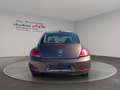 Volkswagen Beetle Lim.Design*SZH*Schiebedach* - thumbnail 5