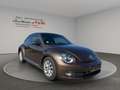 Volkswagen Beetle Lim.Design*SZH*Schiebedach* - thumbnail 9