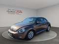 Volkswagen Beetle Lim.Design*SZH*Schiebedach* - thumbnail 1