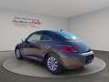 Volkswagen Beetle Lim.Design*SZH*Schiebedach* - thumbnail 4