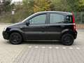 Fiat Panda 1.2 8V Dynamic/AUTOMATIK/KLIMA/ALLWETTER/ Noir - thumbnail 6