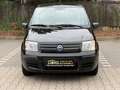 Fiat Panda 1.2 8V Dynamic/AUTOMATIK/KLIMA/ALLWETTER/ Noir - thumbnail 8