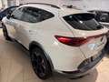 CUPRA Formentor 2.0 tdi 4drive 150cv DSG Bianco - thumbnail 4