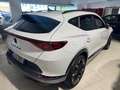 CUPRA Formentor 2.0 tdi 4drive 150cv DSG Bianco - thumbnail 6