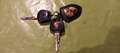 Porsche 944 TYP II  Oldtimer Silber - thumbnail 23