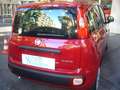 Fiat Panda 1.0 FireFly S&S Hybrid 5°posto Pack City Km0 Rouge - thumbnail 7