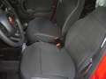 Fiat Panda 1.0 FireFly S&S Hybrid 5°posto Pack City Km0 Rouge - thumbnail 16