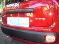 Fiat Panda 1.0 FireFly S&S Hybrid 5°posto Pack City Km0 Rouge - thumbnail 8