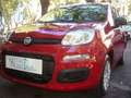 Fiat Panda 1.0 FireFly S&S Hybrid 5°posto Pack City Km0 Rouge - thumbnail 1