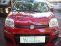 Fiat Panda 1.0 FireFly S&S Hybrid 5°posto Pack City Km0 Rouge - thumbnail 4