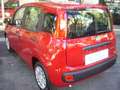 Fiat Panda 1.0 FireFly S&S Hybrid 5°posto Pack City Km0 Rouge - thumbnail 11