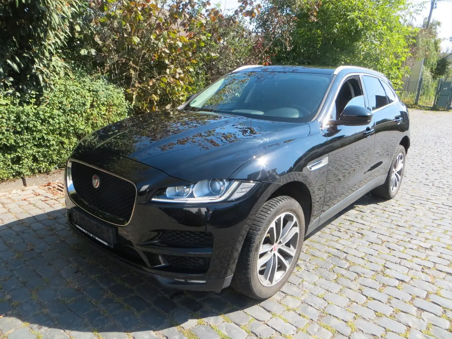 Jaguar F-Pace 25d AWD Prestige Kamera+Standheizung Nero - 1