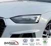 Audi A5 Sportback 40TFSI S line LED/VIRTUAL/AHK/AMBI+ White - thumbnail 15