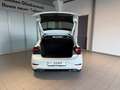 Volkswagen Polo 1,0 TSI R-Line Weiß - thumbnail 14