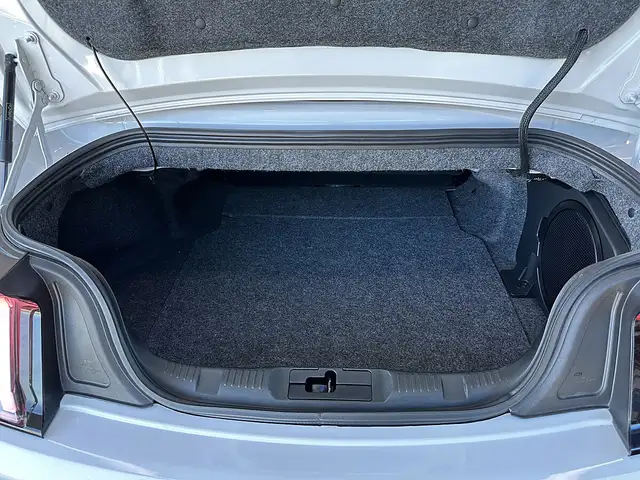 Ford Mustang 5,0 Ti-VCT V8 GT Cabrio Aut. Ansicht 12