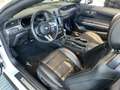 Ford Mustang 5,0 Ti-VCT V8 GT Cabrio Aut. Weiß - thumbnail 3