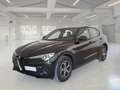 Alfa Romeo Stelvio 2.2 TD 160 CV Super Business AT8 RWD - thumbnail 1