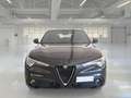 Alfa Romeo Stelvio 2.2 TD 160 CV Super Business AT8 RWD - thumbnail 2