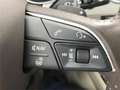 Audi Q7 3.0TDI S Line quattro tiptronic 272CV Full Equip Negro - thumbnail 26