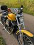 Harley-Davidson Sportster 883 Geel - thumbnail 9