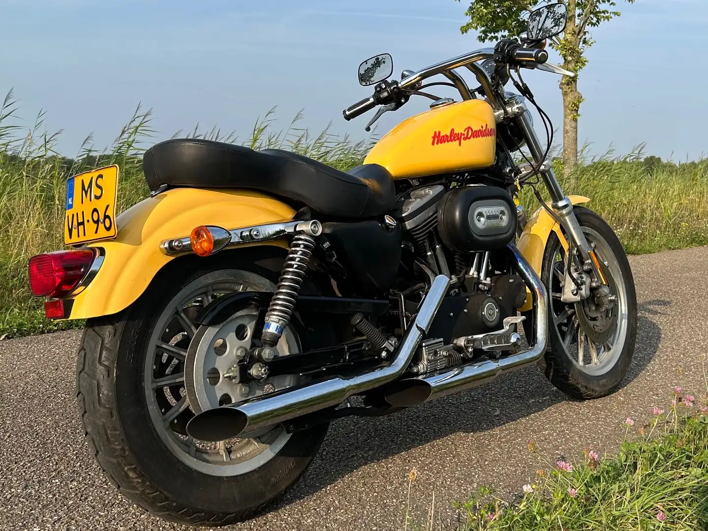 Harley-Davidson Sportster 883 Geel - 1