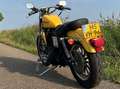 Harley-Davidson Sportster 883 Geel - thumbnail 2