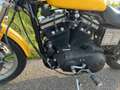 Harley-Davidson Sportster 883 Geel - thumbnail 11