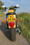 Harley-Davidson Sportster 883 Geel - thumbnail 5
