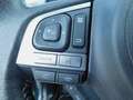 Subaru Forester Exclusive 20th Anniversary (Navi) Grün - thumbnail 16