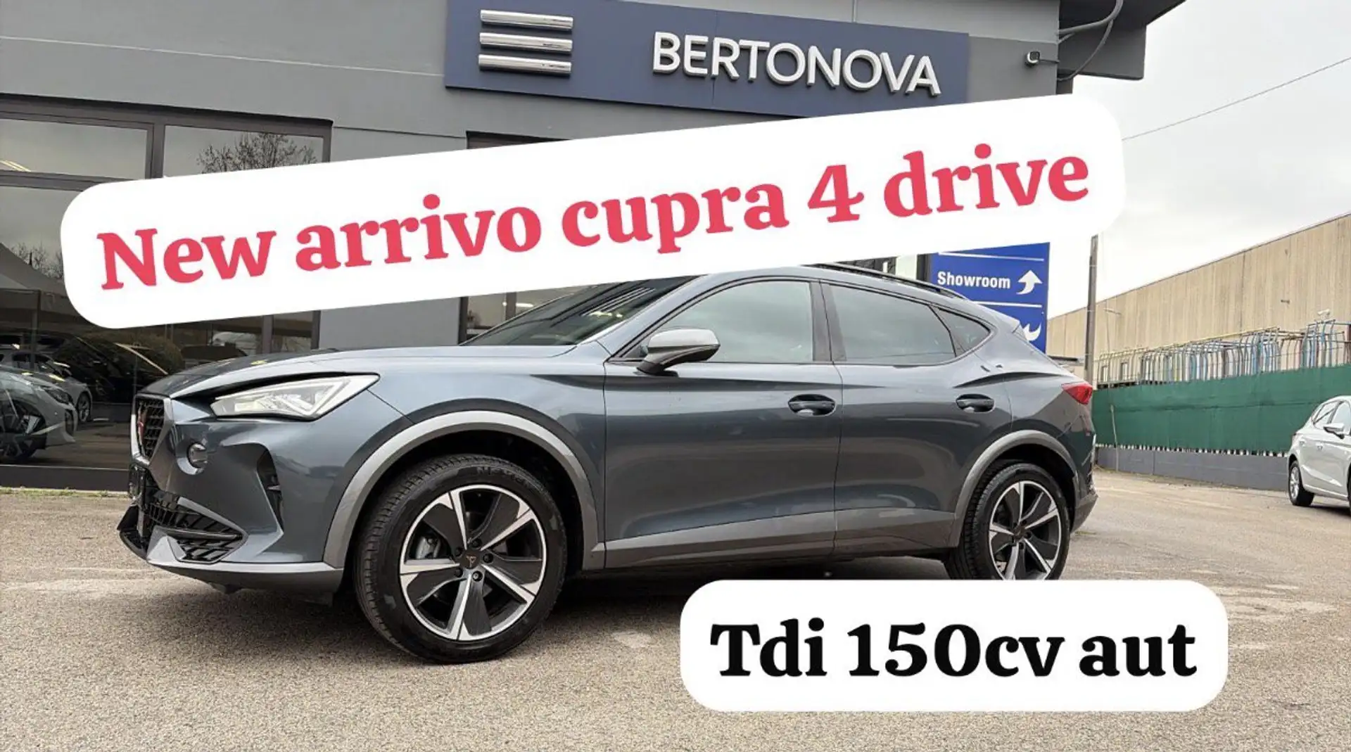 CUPRA Formentor 2.0 TDI 4Drive DSG Bleu - 1