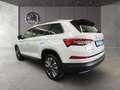 Skoda Kodiaq 2.0 TDI Tour DSG Navi Rückfahrkamera Lane Blanc - thumbnail 4
